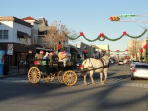 Ocean City NJ Asbury Ave Christmas